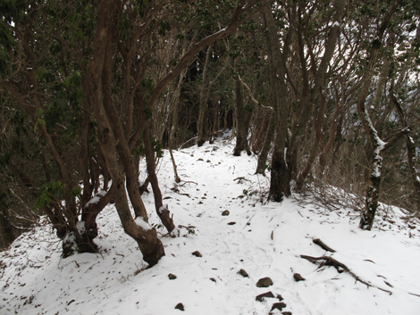 20160204hike (281)